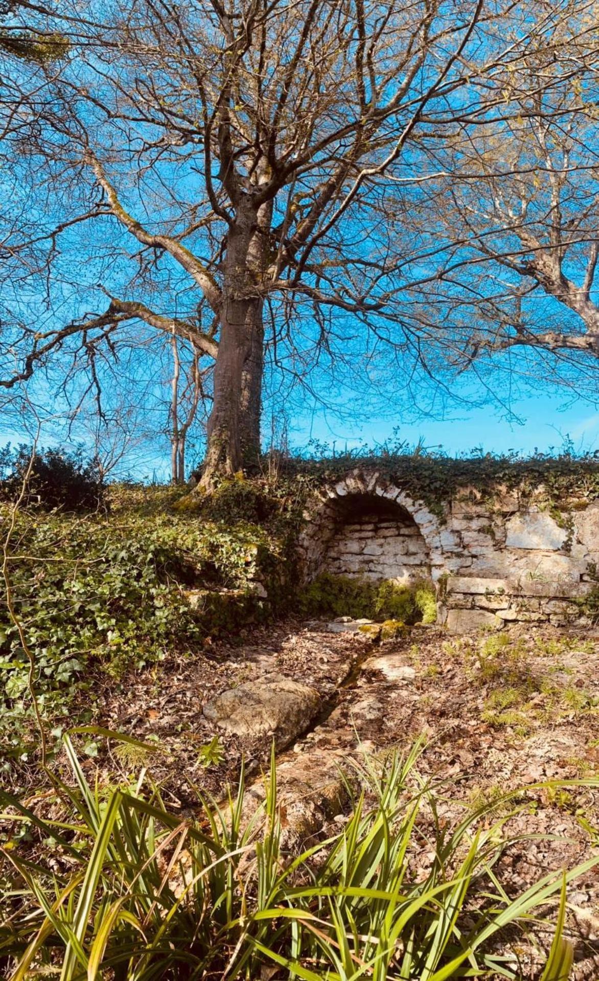 Beaulieu Saint Come Exteriör bild